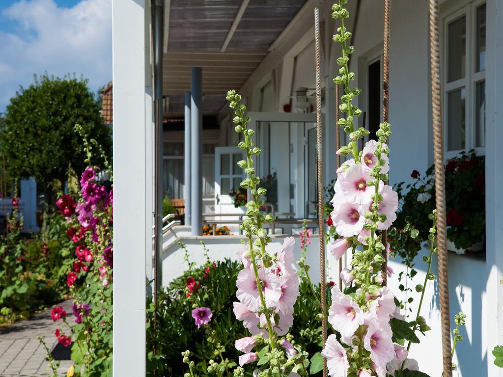 Haus Am Meer Ξενοδοχείο Ahrenshoop Εξωτερικό φωτογραφία
